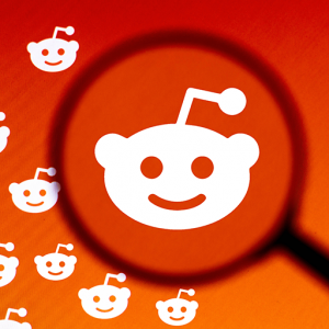 suscriptores reddit