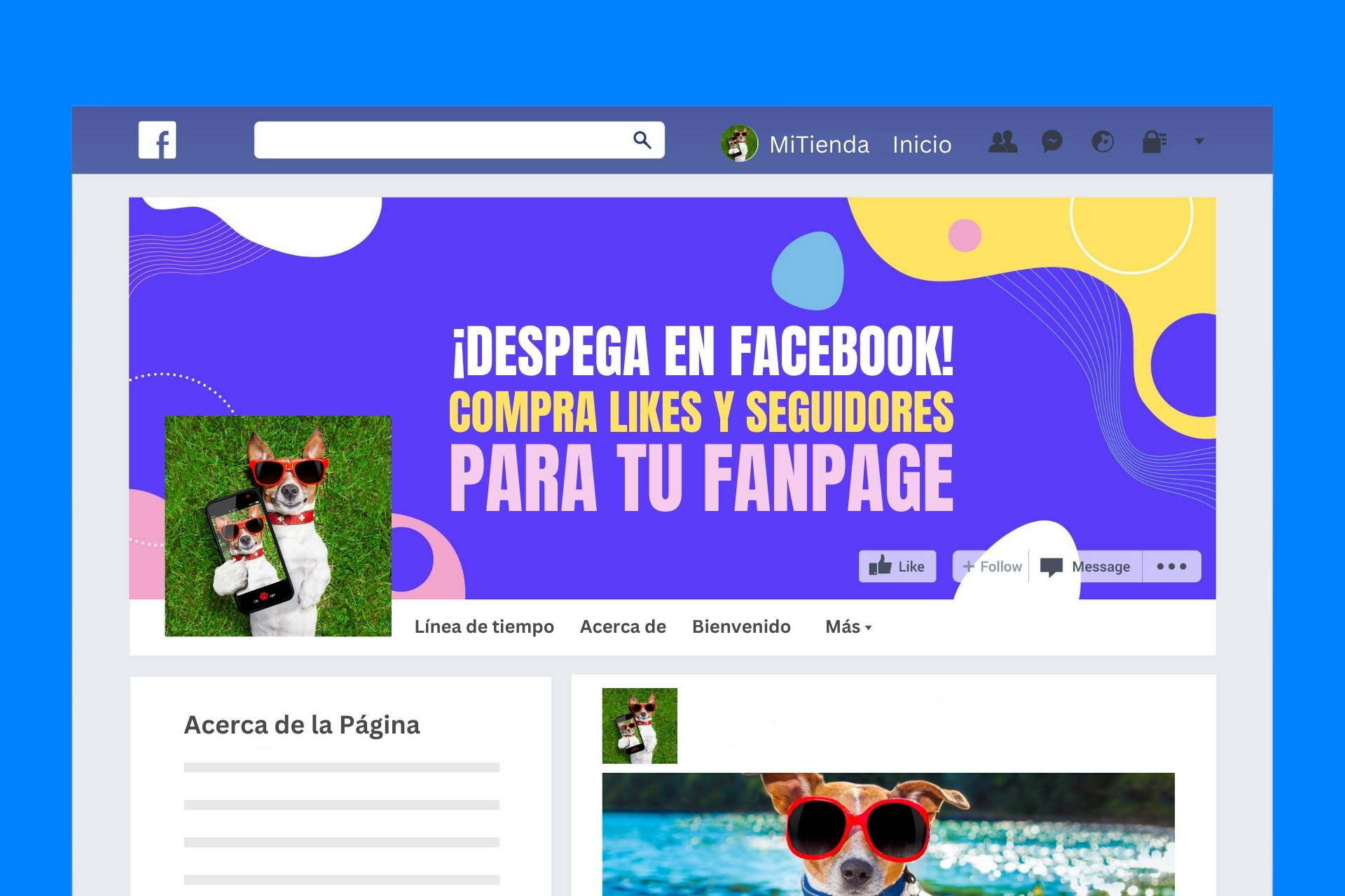 likes pagina de facebook