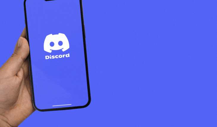 miembros discord